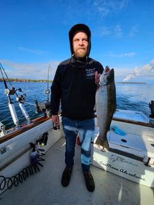 Oswego Fishing Charters-Sea Trout