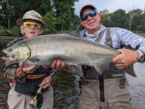 Great Salmon! The Best Fishing guide