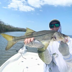 Winter Time Snook Fishing in Florida!