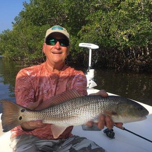 Redfish Fishing Trip in SW Florida