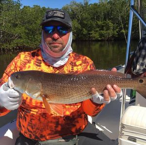 Nice Redfish! Fishing guides in SW Florida