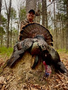 Teresa Lowery Wraps Up Spring with a Tagged Gobbler