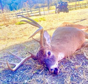 Limited Openings for Upcoming Hunting Season