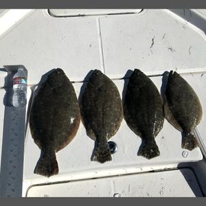 Flounder Fishing