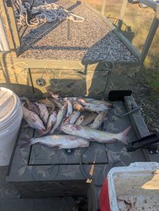 Solo fishing scouting trip