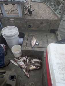 Fishing report 
