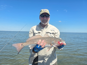Port Aransas Wade Fishing: Spring Redfish Action on the Flats