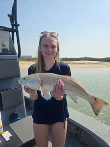 "Redfish Frenzy on the Texas Flats"