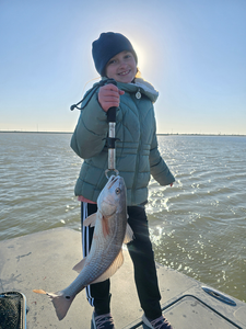 Port Aransas Fishing Frenzy - A Thrilling Gulf Coast Adventure