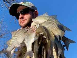 White Bass & Crappie Showing Up Strong—Scouting Is Key Right Now