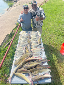 DFW Multi-Species Action: Catfish & Bullhead with Carey Thorn