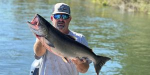 Folsom Lake Fishing Guide Services