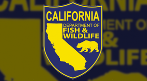 California Fishing License