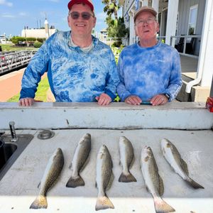 Great Catch with Brian and Mike