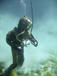 Underwater Odyssey: Scuba Diving Adventure in Tampa's Stunning Seas