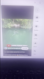 Shalimar Scuba: Clear Waters & Vibrant Marine Life in Tampa