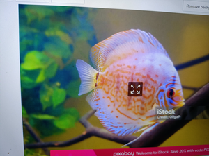 Peaceful Flats, Pigfish, and Tranquil Moments: A Guided Fishing Adventure