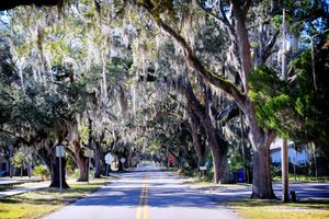 Things To Do in Crystal River