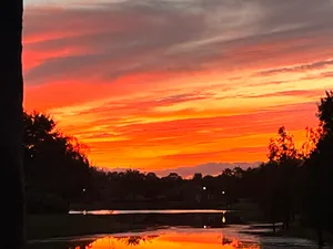 Compassionate Sea Ash Scattering Services