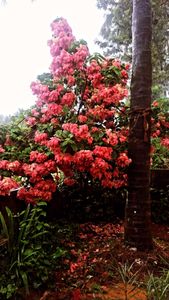 Test report missing data