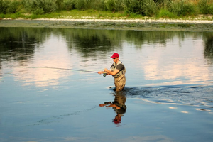 "St. Pete Flats: Summer Sight Fishing with SRS Adventures"