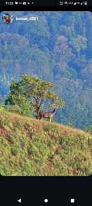 Flats Fishing Frenzy: An Unforgettable Adventure on the Shallows