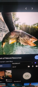 Walleye Bonanza: Clear Creek Action in Florida, KY