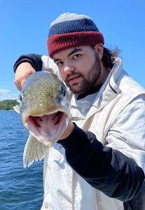 Thrill of Walleye fishing on Lake Champlain!