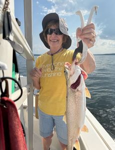 Sunset Runs are producing 