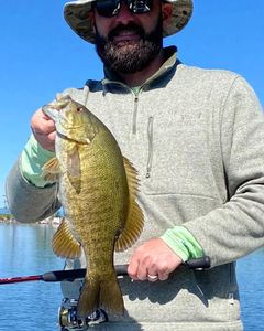Bass fishing near me, Lake Champlain
