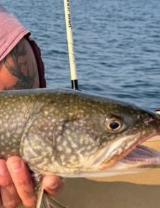 Lake Champlain fishing report for past 3 weeks !!