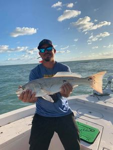 Port Canaveral fishing charters for redfish!