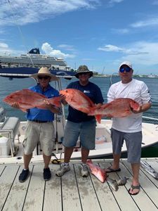 Action Packed Red Snapper Fishing