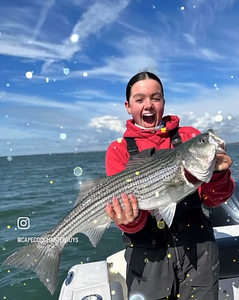 Key Largo Skills Session: Buoyancy and Navigation Practice