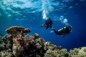 Diving Capacity Test: Conquering the Deep Blue Depths