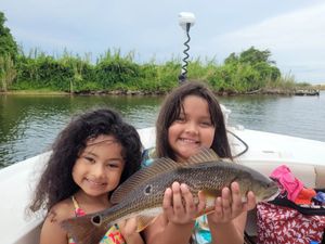 Redfish catch of the day