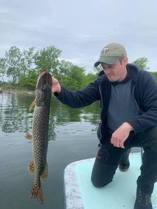 Guided Fishing Trip For Northern Pike, Vermont
