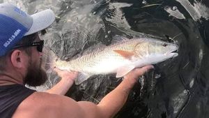 Crystal River Redfish Fishing Charter