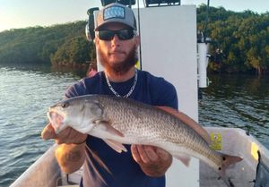 Redfish Charters in Crystal River