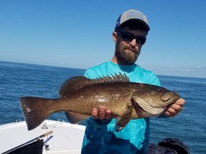 Crystal River Grouper Species Caught