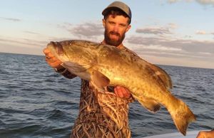 Grouper Caught in Crystal River, FL