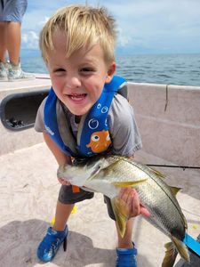 Child-Friendly Crystal River Snook Fishing