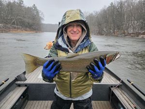 Michigan Fishing License