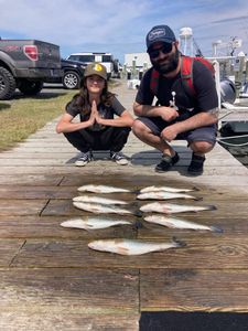 Redfish finally showing at Wanchese Marina