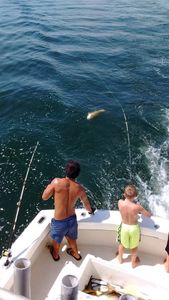 Schools of Bull Reds