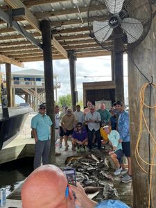 Officially in Business! 