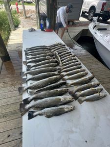 Limit of Specks and Bonus White Trout with Ray Huntz in Hopedale