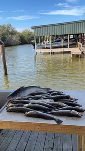 Late Start, Solid Bite at Hopedale