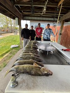 Lake Sakakawea Walleye Bite Returns on Calm Waters