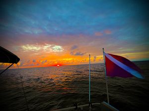 Scuba Diving In The Florida Keys 